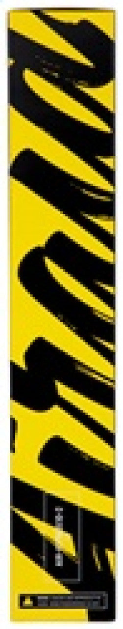 Airaid 2015-2016 Ford Mustang V8 5.0L F/I Direct Replacement Dry Filter - 851-344