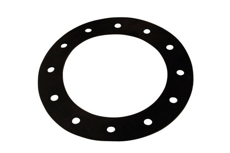 Aeromotive Fuel Cell Filler Neck Replacement Gasket - 18013